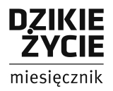 http://pracownia.org.pl/dzikie-zycie